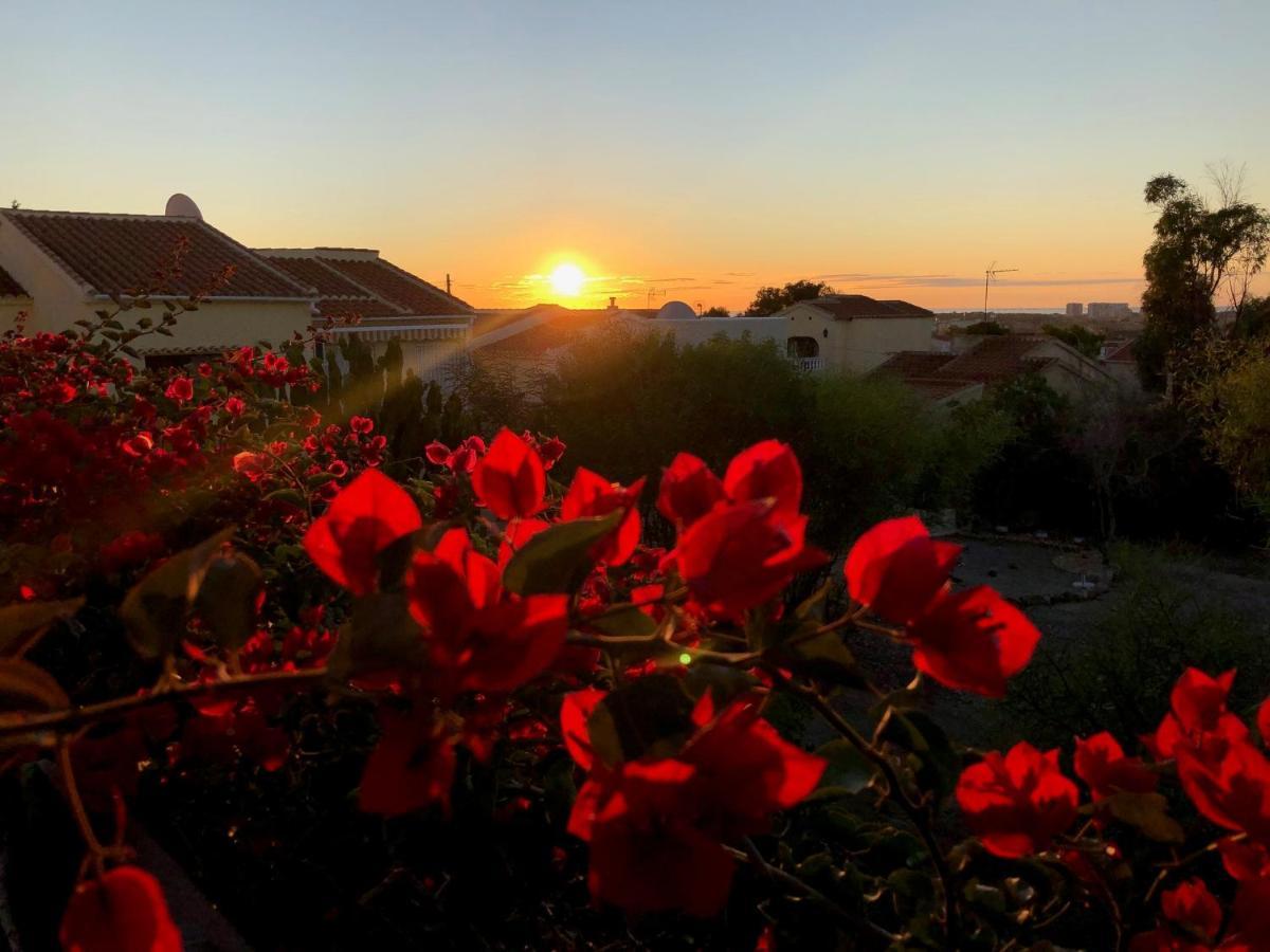 San Fulgencio Sonniges Apartment An Der Costa Blanca מראה חיצוני תמונה